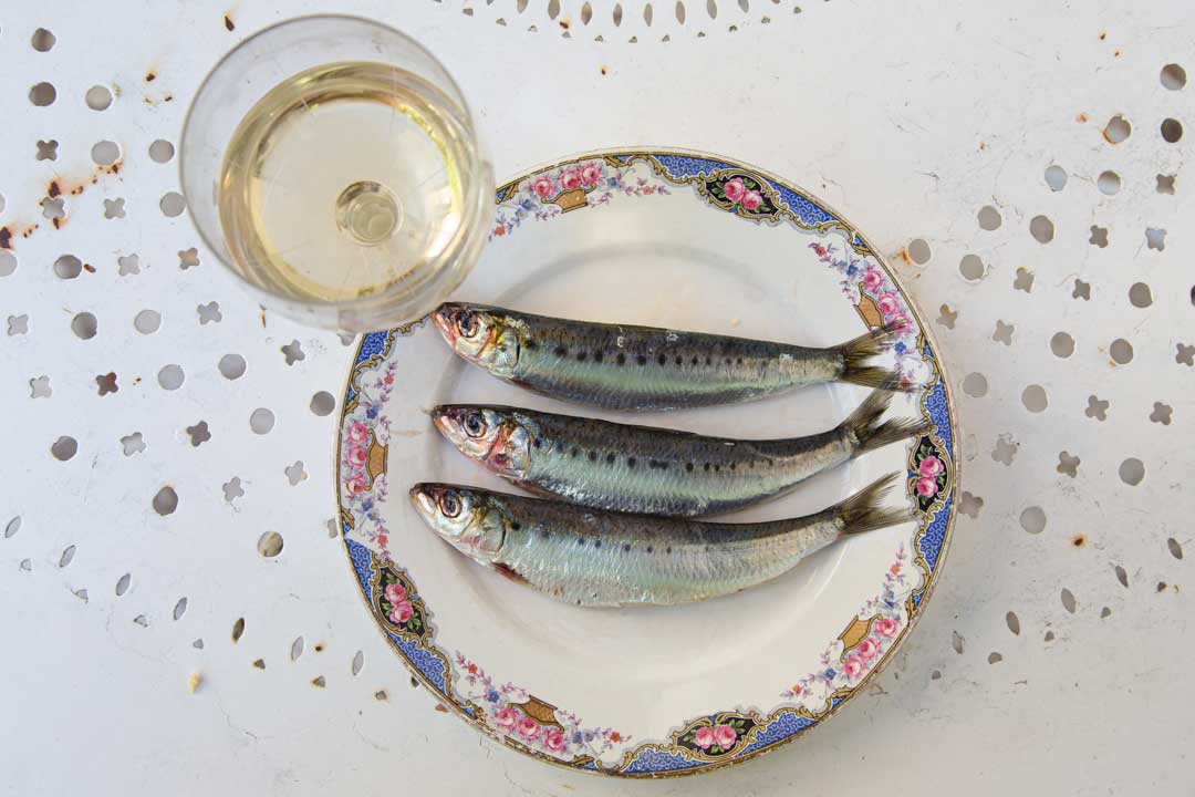 Sardinen und Grand Large