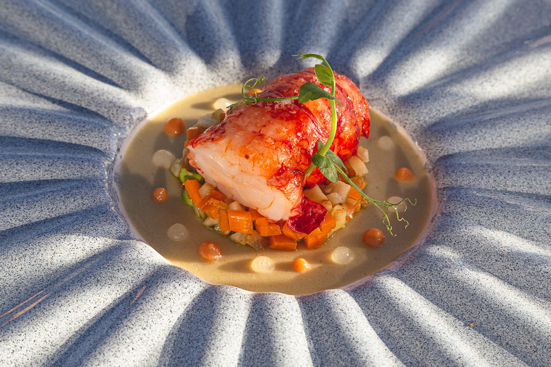 Hummer, Algen-Pannacotta bei Jean Marc Pérochon