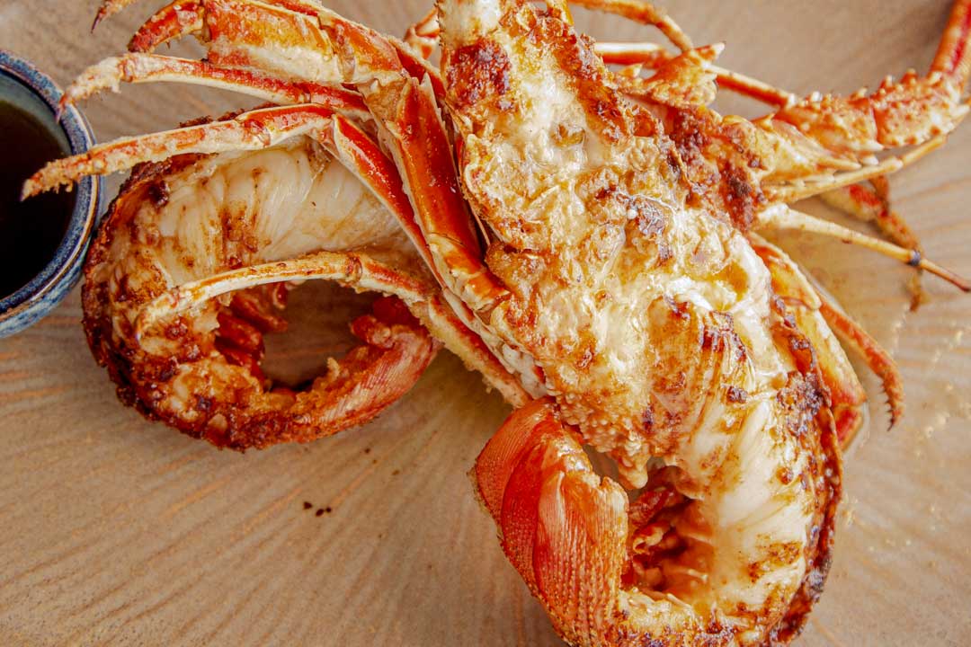Langusten vom Cap de Creu - Restaurant Els Pescadors - Llança - Katalonien
