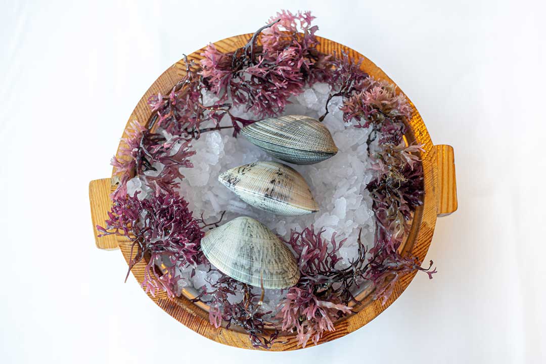 Venusmuscheln - Restaurant Els Pescadors - Llança - Katalonien
