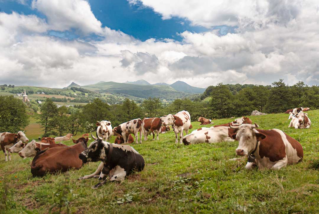 Vulkanlandschaft der Auvergne
